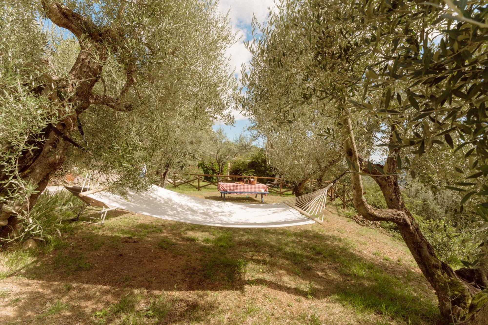Agroturismo San Felicissimo