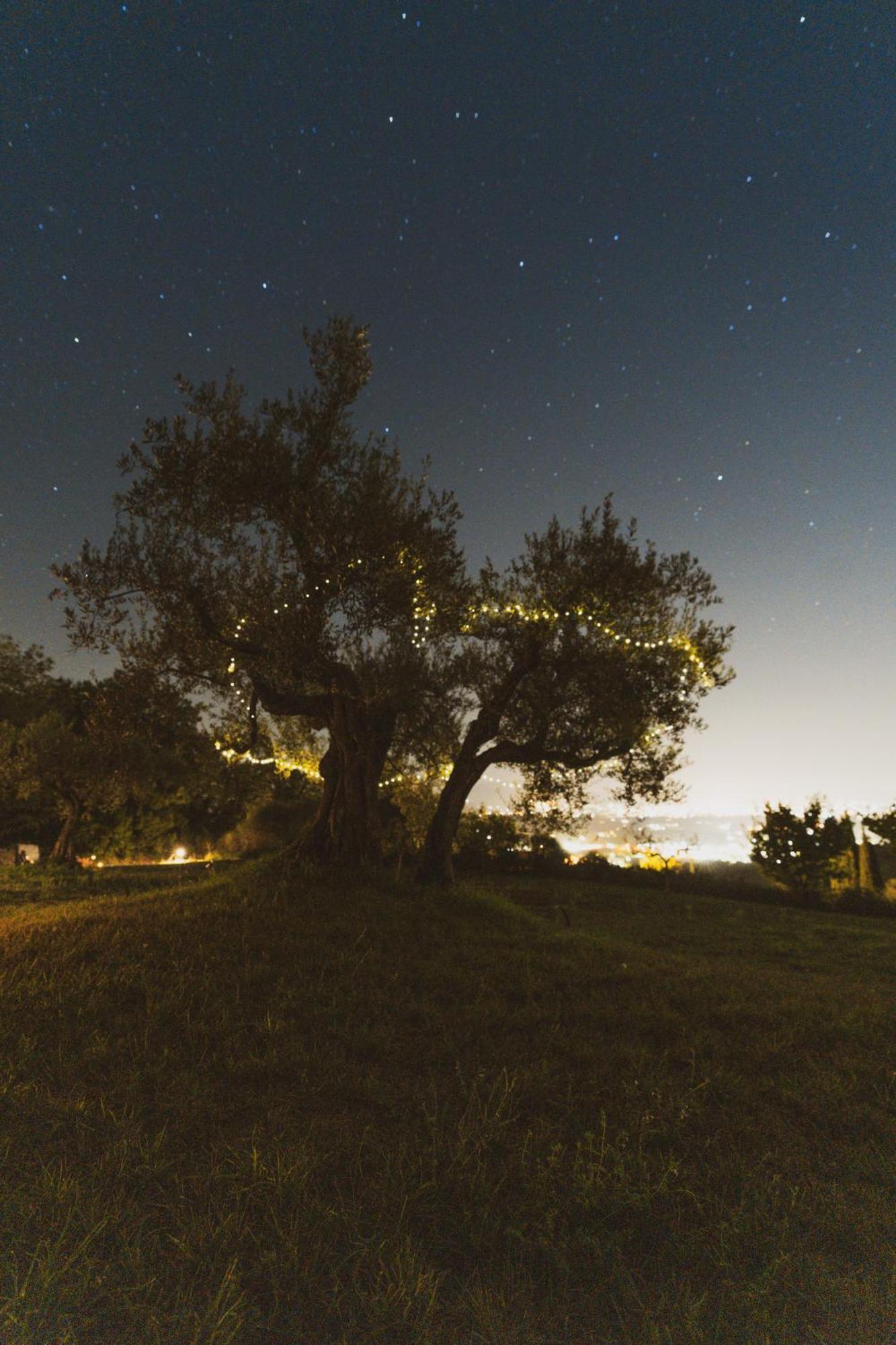 Agriturismo San Felicissimo * Pérouse