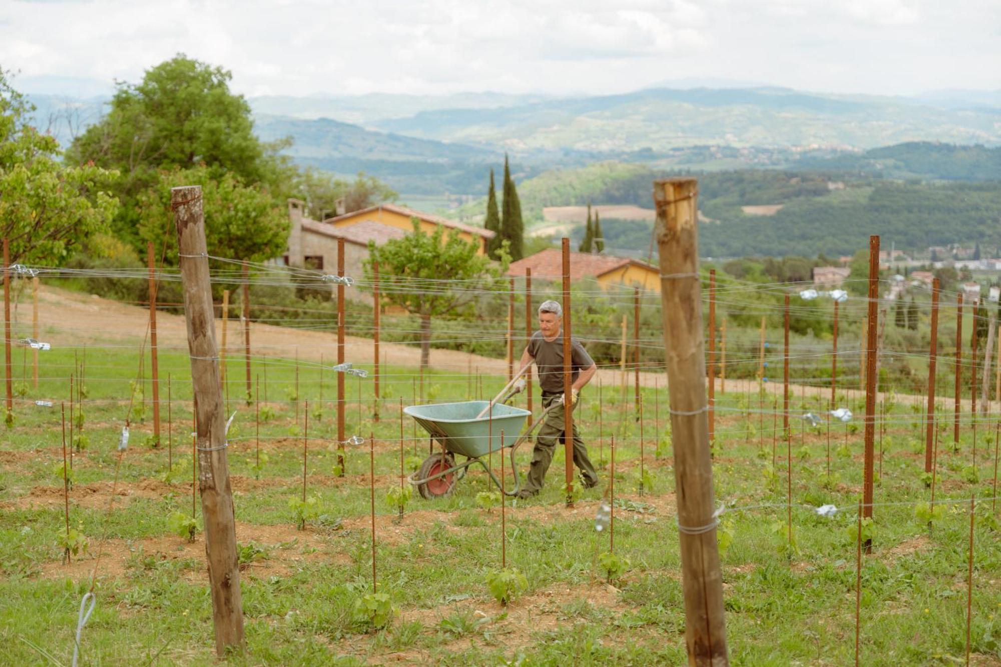 San Felicissimo Farm stay