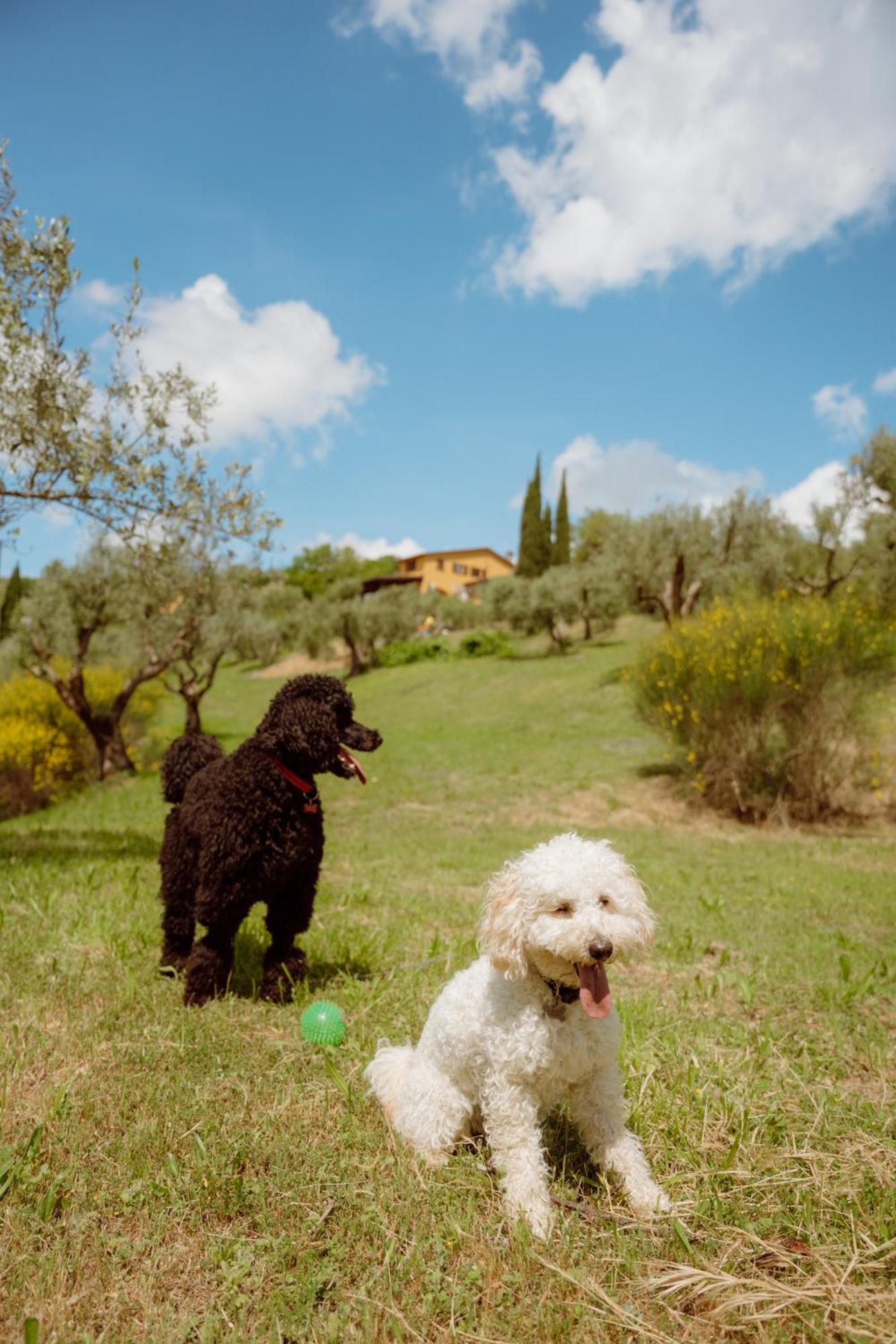 San Felicissimo Farm stay *