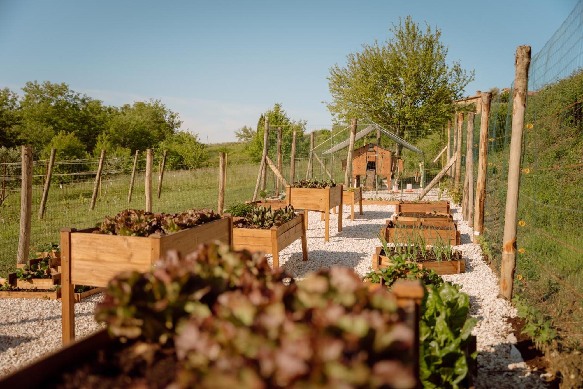 Farm stay San Felicissimo *