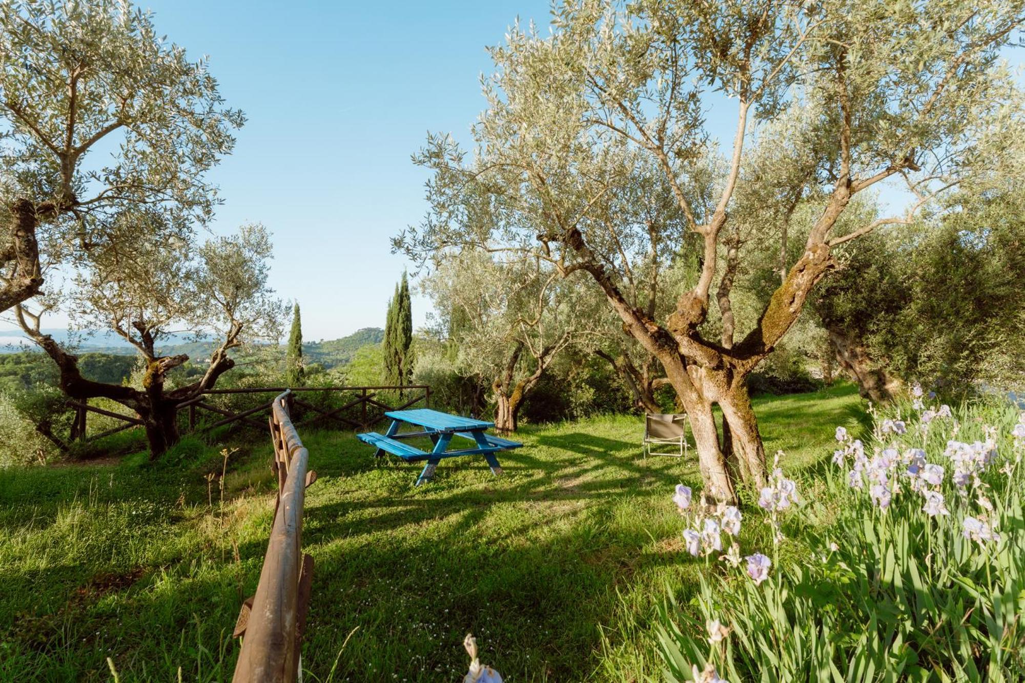 Farm stay San Felicissimo